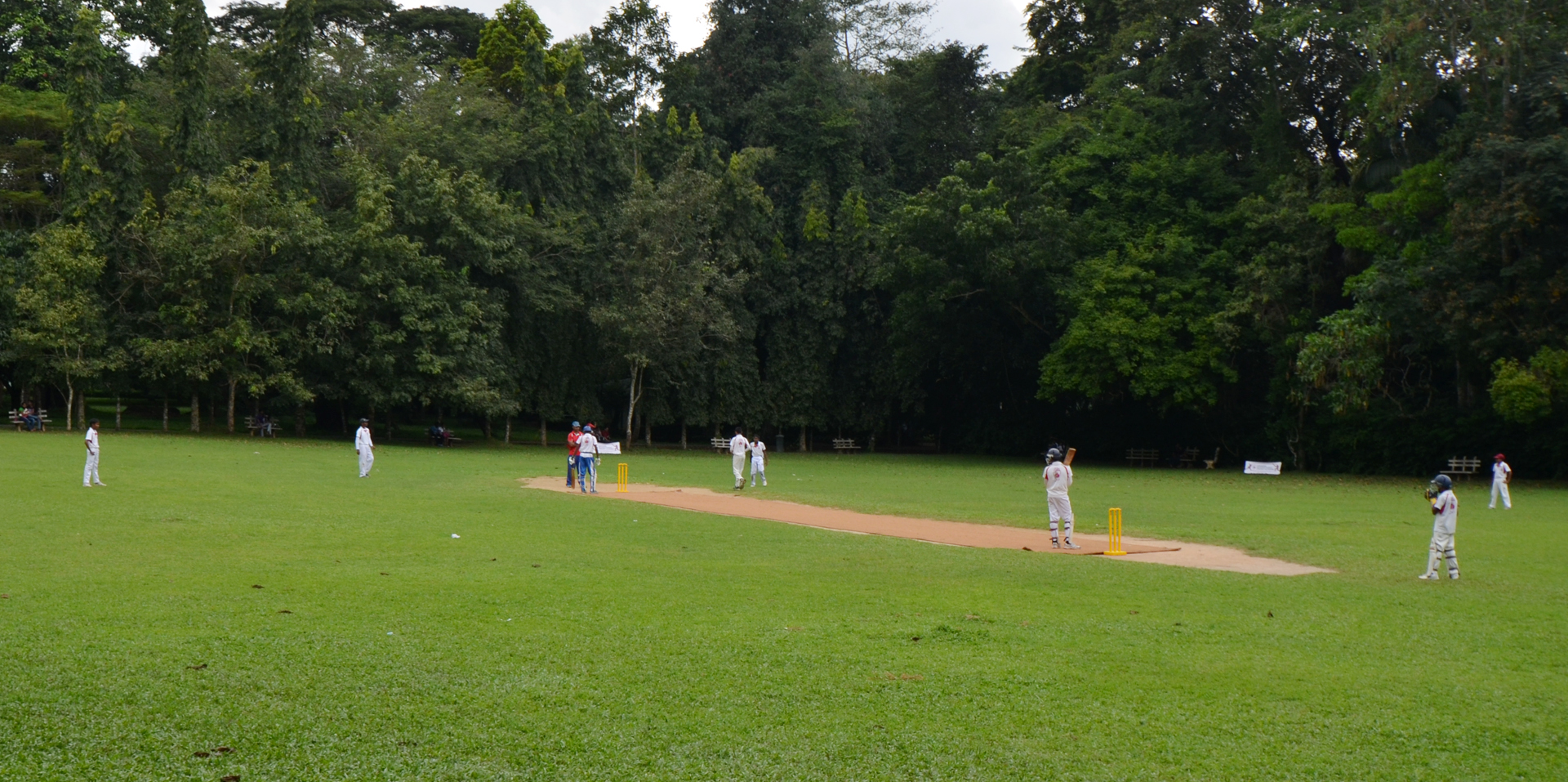 Grass ground for fielding and matches